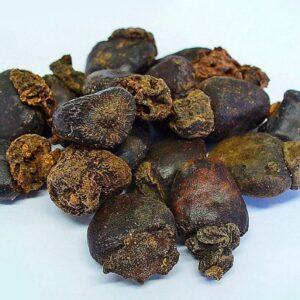 Read more about the article Anacardium